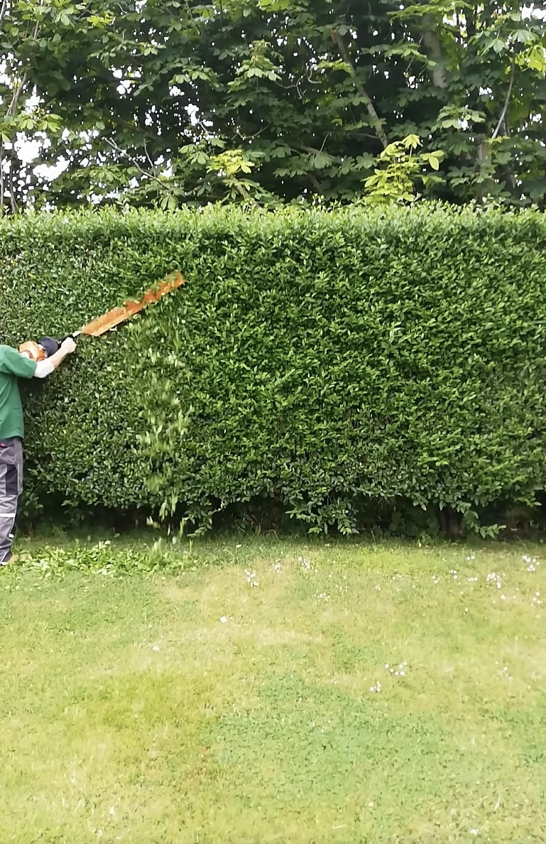 Professional shrub and hedge trimming service in Ontario, CA