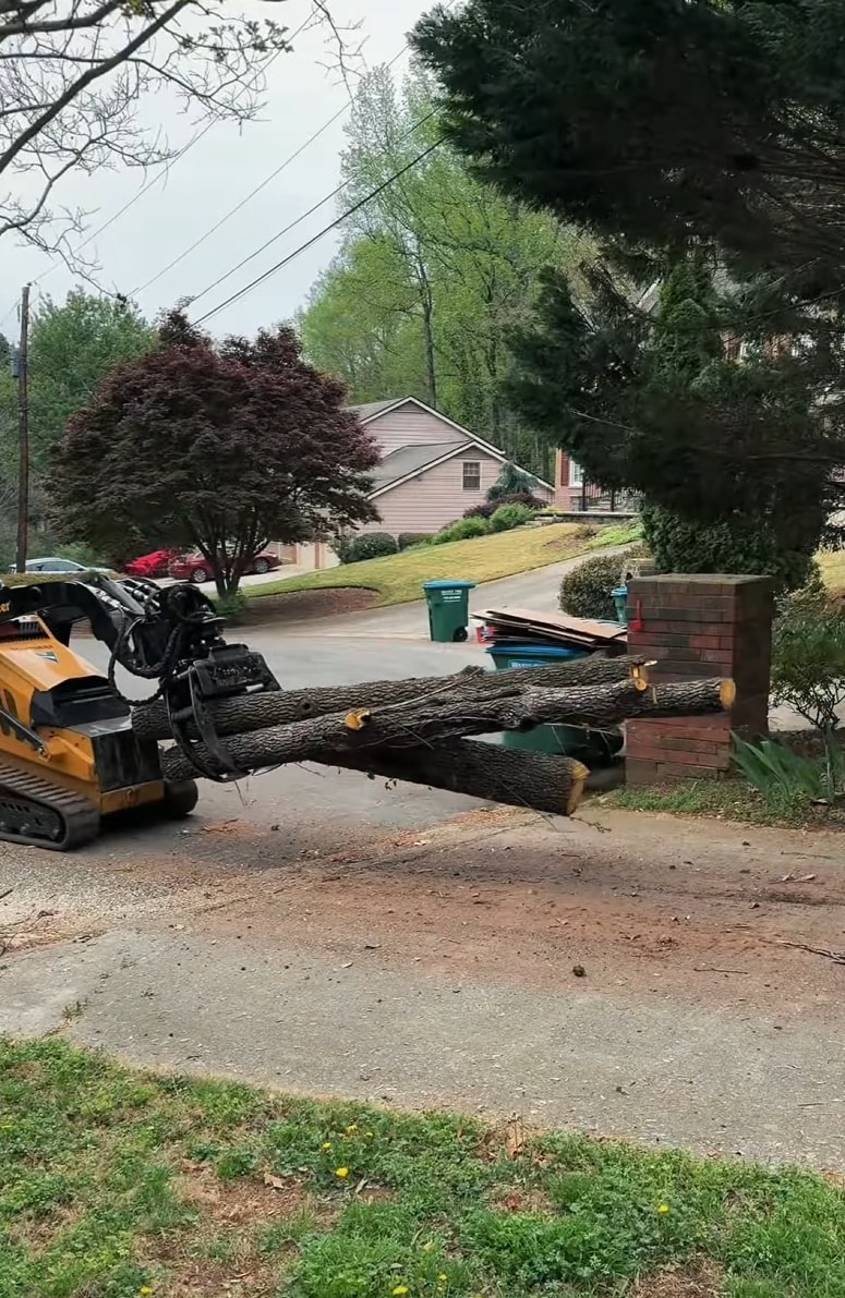Professional tree service equipment in Ontario, CA