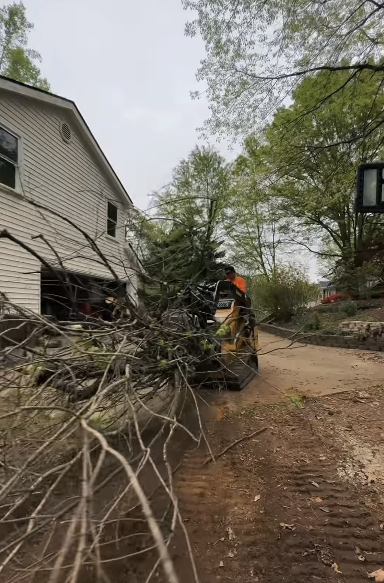 Storm damage cleanup and emergency tree service in Ontario, CA Emergency tree removal cleanup after storm damage in residential area