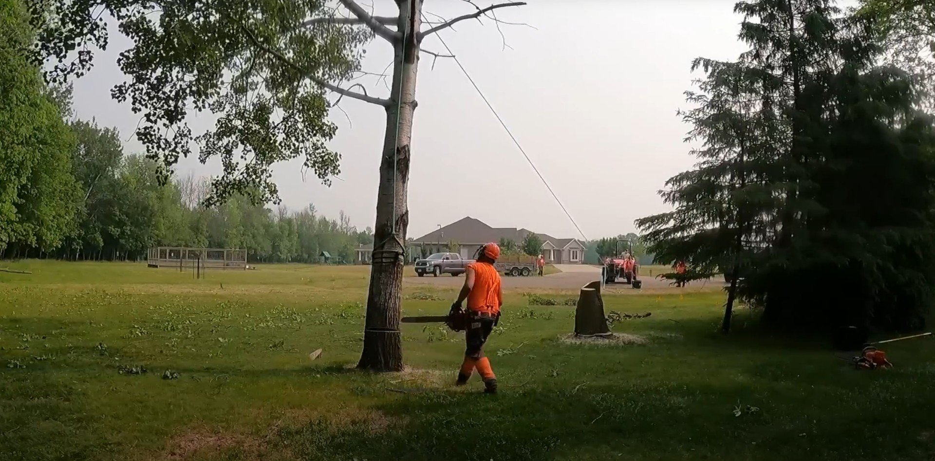 Ontario city hall and permit documentation for tree removal