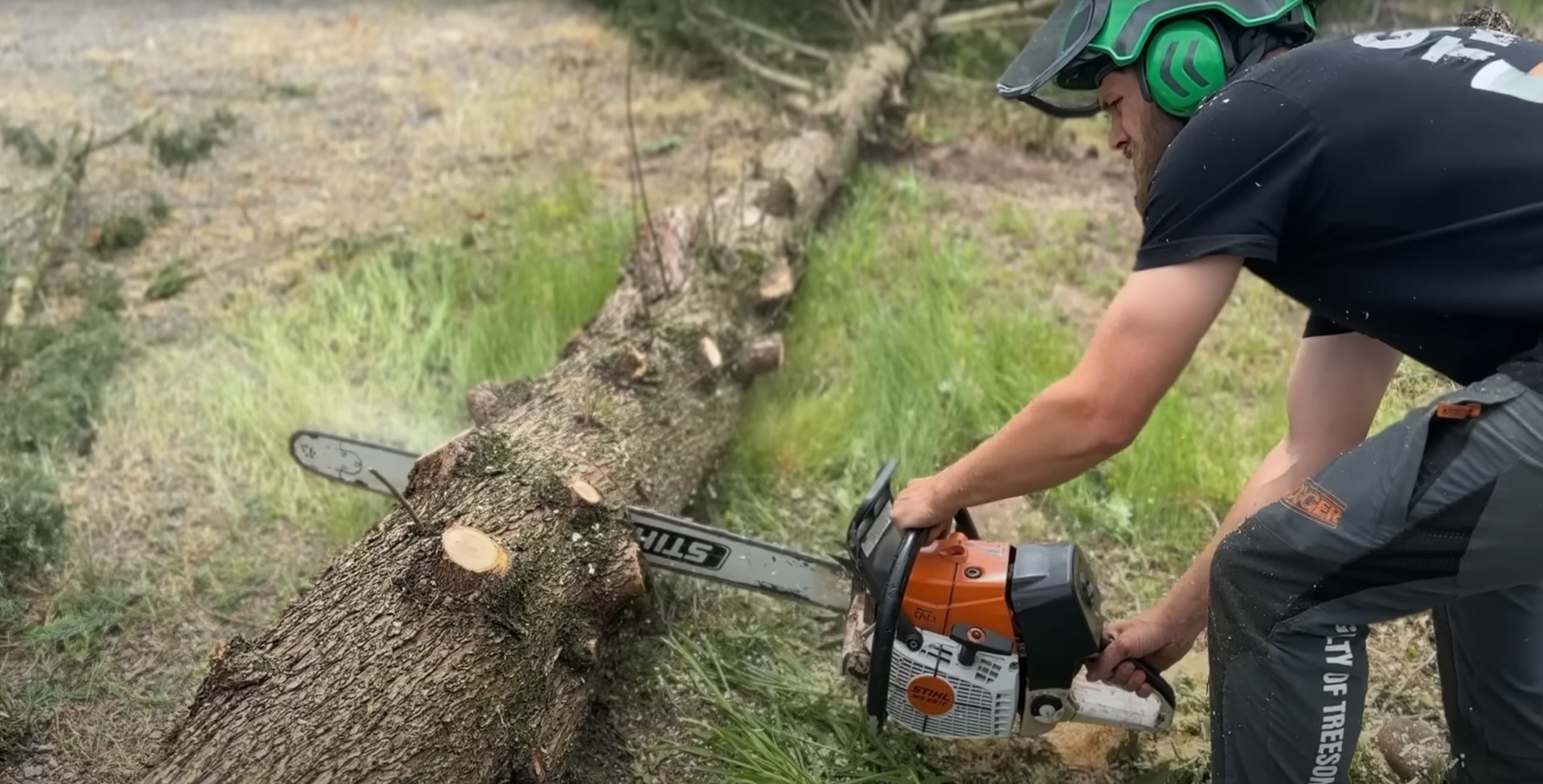 Residential tree cutting service with professional chainsaw equipment Tree service professional using chainsaw for precise tree cutting on residential property