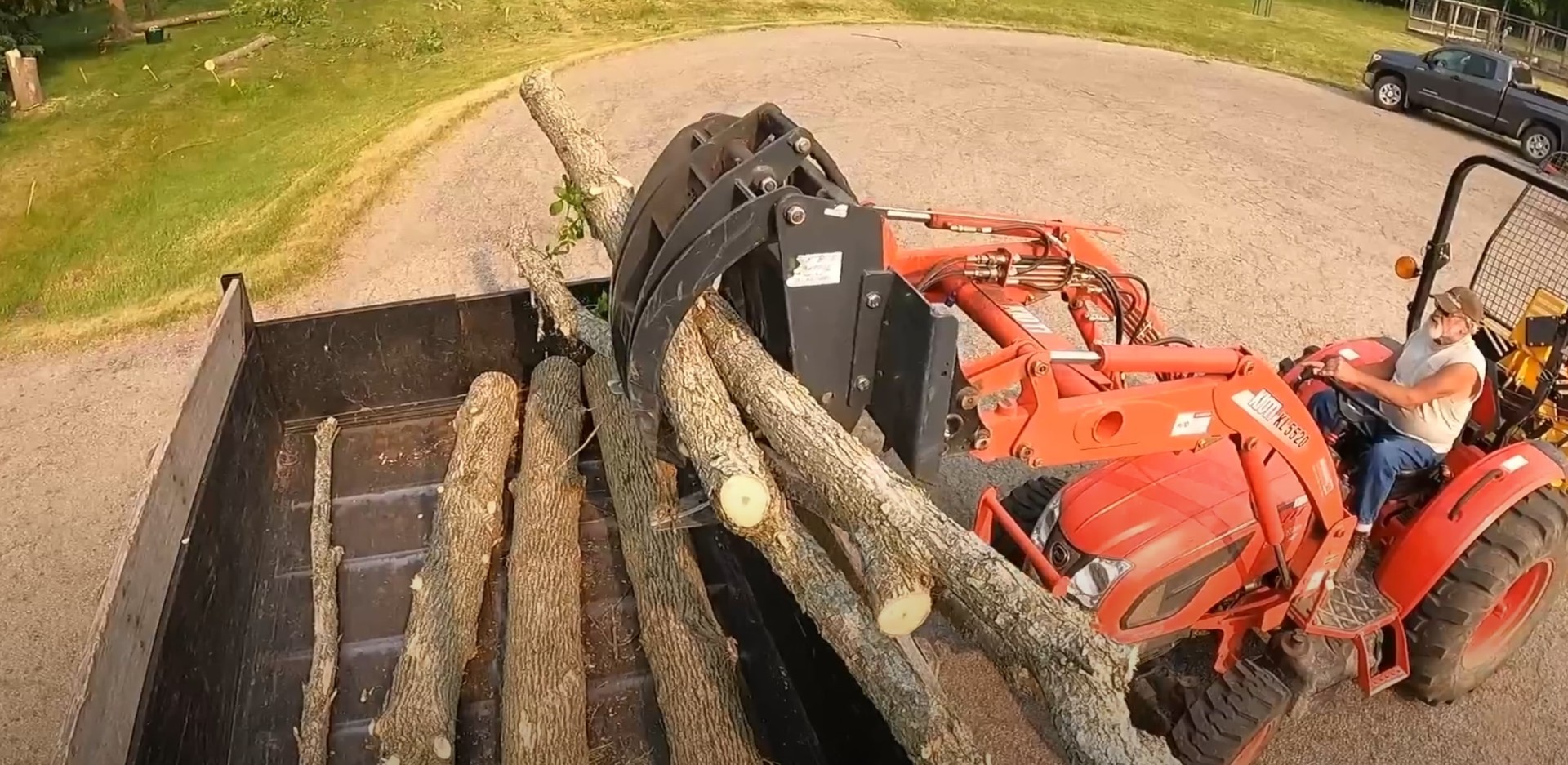 Professional tree removal and cleanup using heavy equipment Heavy equipment loading cut tree logs for removal and cleanup service