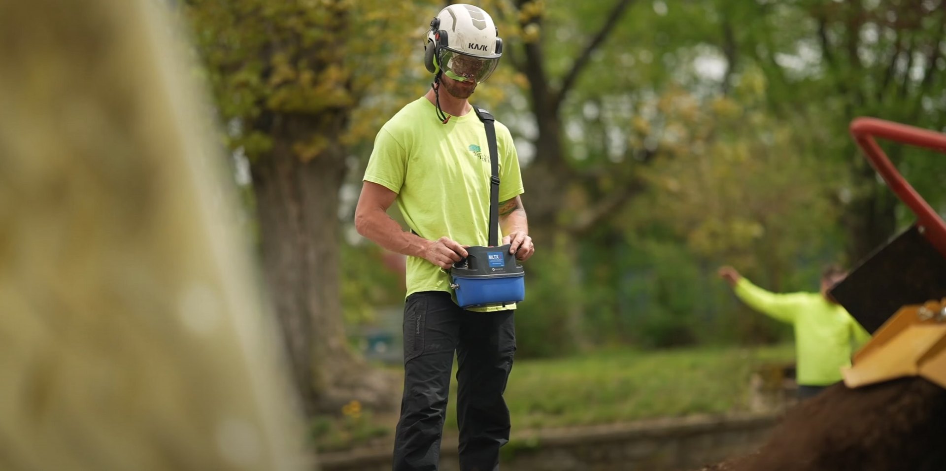 Professional arborist with safety gear performing tree maintenance Certified arborist using safety equipment for tree trimming and maintenance